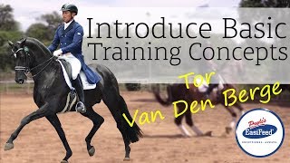 How to introduce basic training concepts to young Dressage horses with Tor Van Den Berge [upl. by Asylem]