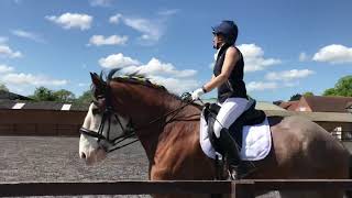 Clydesdale Dressage Demo [upl. by Mauro]