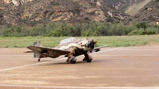 Ziroli RC JU87 Stuka with Dive Siren  Warbirds amp Classics 2015 [upl. by Yot]