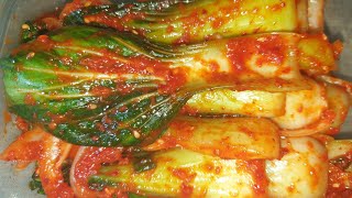 bok choy kimchi [upl. by Dulcia]