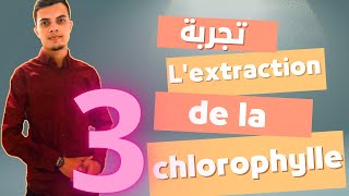 Lextraction de la chlorophylle من أهم التجارب التي ينبغي ضبطها [upl. by Klinger358]