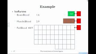 Lect 3 Pharmacokinetics of Inhaled Anesthetics B [upl. by Seften20]