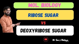 Ribose Sugar vs Deoxyribose SugarBiology Dr Sams Biologyl [upl. by Lorn513]