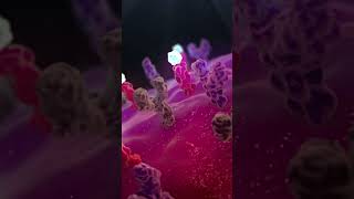 Enjoy your SciArt clip  Medical Animation [upl. by Eahsram924]