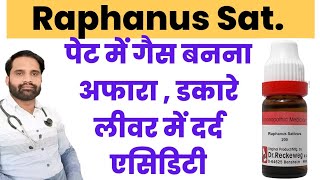 Raphanus homeopathic medicine  Raphanus sativus 30 uses in hindi Raphanus sativus q  200 uses [upl. by Jannelle]