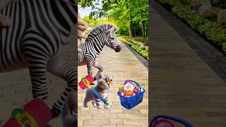 rabbit and zebras take my kinder joy cat cutecat trendingshorts [upl. by Hamaso]