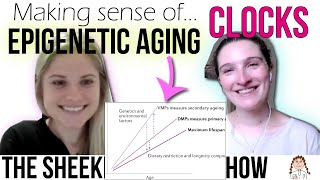 How to study aging with DNA methylation [upl. by Deron]