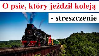 O psie który jeździł koleją  Streszczenie [upl. by Schwitzer]