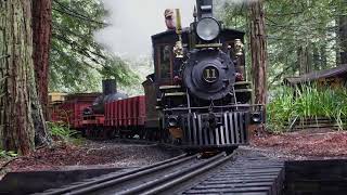 Redwood Valley Railway  2022 Anniversary Meet [upl. by Welch]