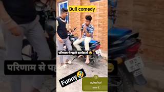 bull funny comedy shortvideo funnyreel funnyvideos viralvideo comedyshorts shorts [upl. by Hoashis]