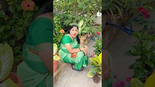 RRR Nursery Part24 shorts comedy richakka [upl. by Allegra346]