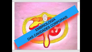 EMBRIOLOGIA DAS CAVIDADES DO CORPO [upl. by Triplett]