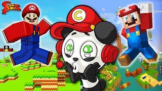 Minecraft Super Mario Adventures with Combo Panda [upl. by Eirak]