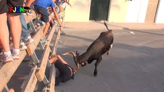 Toros y Vaquillas  Sant Roc 2014  Playa de Nules Castellon Bous Al Carrer Toros FJGNtv [upl. by Akihsat723]