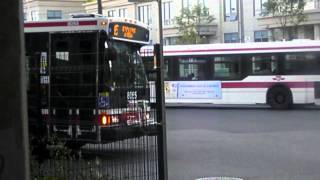 Summer Buses2007 TTC Orion VII Diesel Video collections [upl. by Kiran]