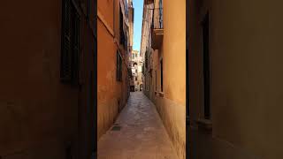 Palma de Mallorca Spanien 🇪🇦 shorts travel spain mallorca [upl. by Tarrance428]