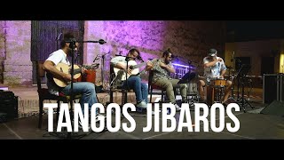 Tangos Jíbaros  John Lix Feliciano POR BORIKÉN [upl. by Ahsein]