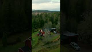 Zweden  Huis gekocht bij Glaskogen Naturreservat [upl. by Alys]