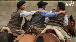 Caballo Criollo Horses in Argentina [upl. by Ebberta]