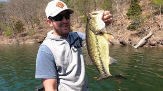 MULTI SPECIES DAY on RAYSTOWN LAKE BIG FISH [upl. by Wyck]