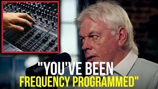 quotMusic Is Frequency Programmingquot 440HZ [upl. by Nahtanohj378]