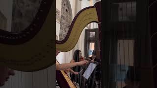 Arpa and Duo ViolinoCello for Wedding [upl. by Assed143]