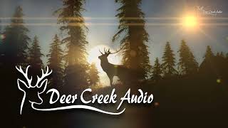 Deer Creek Audio  Digital Signal Processing Products [upl. by Trillby]