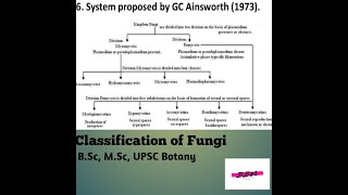 Classification of Fungi BSc MSc UPSC Botany [upl. by Eizeerb]