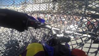 Globe of Death Rider Pov Surfers Paradise [upl. by Ynohtnakram]