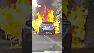 Kitsap Co deputy saves man and dog from burning car [upl. by Nyledam]