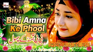 New Rabi Ul Awal Title Naat 2012  Bibi Amna Ke Phool  Milad Special Kallam  Islamic Naat naats [upl. by Claud]