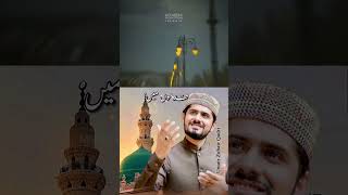 Dar e Rasool  Status Video  Umair Zubair Qadri  Naat Short [upl. by Yromas]