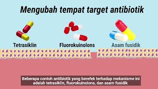 Video Pembelajaran  Antibiotik Resistensi dan Alargi Antibiotik di Kedokteran Gigi [upl. by Akinnej483]