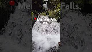 Merriman Falls  Olympic National Forest WA PNW [upl. by Ber]