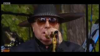 Van Morrison  Whenever God Shines His Light [upl. by Etteyniv]