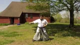 Haidong Gumdo Ssangsu Sword Form 1 [upl. by Togram36]