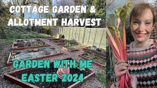 COTTAGE GARDEN amp ALLOTMENT HARVEST MARCH 2024  NO DIG BEDS  GARDEN WITH ME [upl. by Engelhart65]