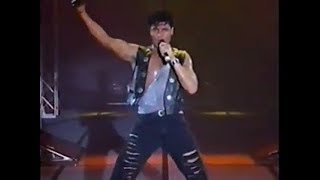 Chayanne  Concierto Tour Provócame 1992 [upl. by Ellener]