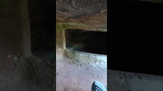 Inside of The megalithic chambered tomb of Dwarfie Stane Island of Hoy Orkney [upl. by Egnalos684]