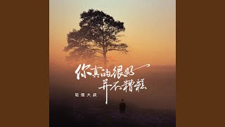 你真的很好并不糟糕 烟嗓版伴奏 [upl. by Burdelle]