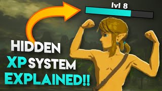 Breath of the Wilds HIDDEN Ranking System EXPLAINED How Enemy and Weapon Scaling WORKS [upl. by Anewor]