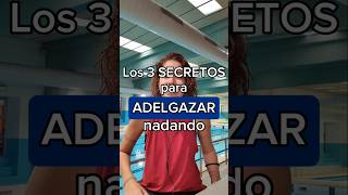 👉5rutinas de natación para perder peso vamosvalientecom natacion nadar adelgazar perderpeso [upl. by Ellehcear]