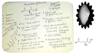 MSGSODIUM GLUTAMATETSaltTesting saltbangla [upl. by Kirat490]