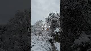 Winter Walk fypシ゚viral winter christmas [upl. by Lepp]