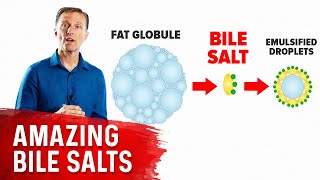 The 9 Benefits of Bile Salts [upl. by Aneed637]