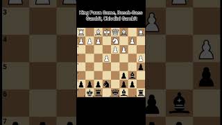 King Pawn Game BuschGass Gambit Chiodini Gambit C40 classicgames music remix [upl. by Snowber]