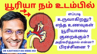 கட்டாயம் உடலுக்கு யூரியா குறித்து உங்களுக்கு தெரியவேண்டியவை  what is the function of urea [upl. by Ikoek]