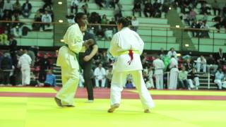 Coupe de France Kyokushinkai  finale Senior féminin 65kg [upl. by Eillo45]