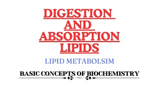 Digestion and Absorption of Lipids  Monoacyl glycerol pathway  Bergstrom theory [upl. by Bocaj]