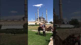 Selimiye camii Edirne [upl. by Nivel684]